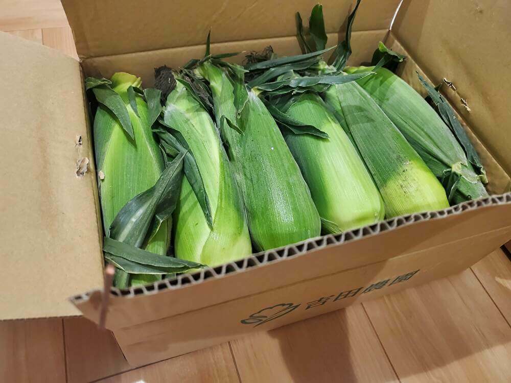 とうもろこし