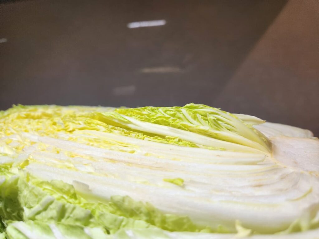 白菜の芯が盛り上がっているのはなぜ？