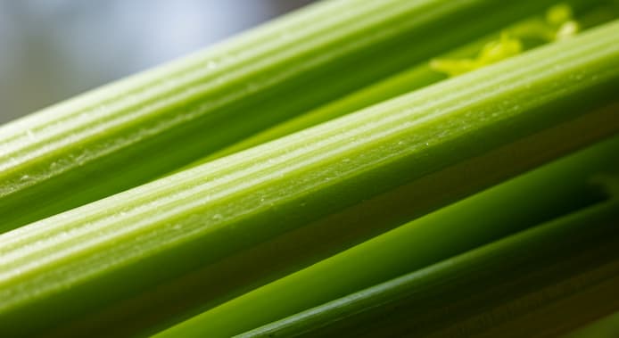 セロリは茎が太いほうが良いの?