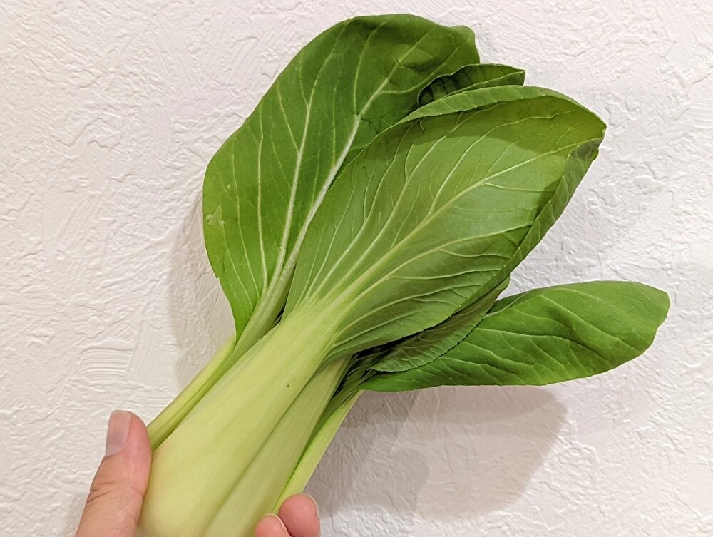 おいしいチンゲン菜の選び方