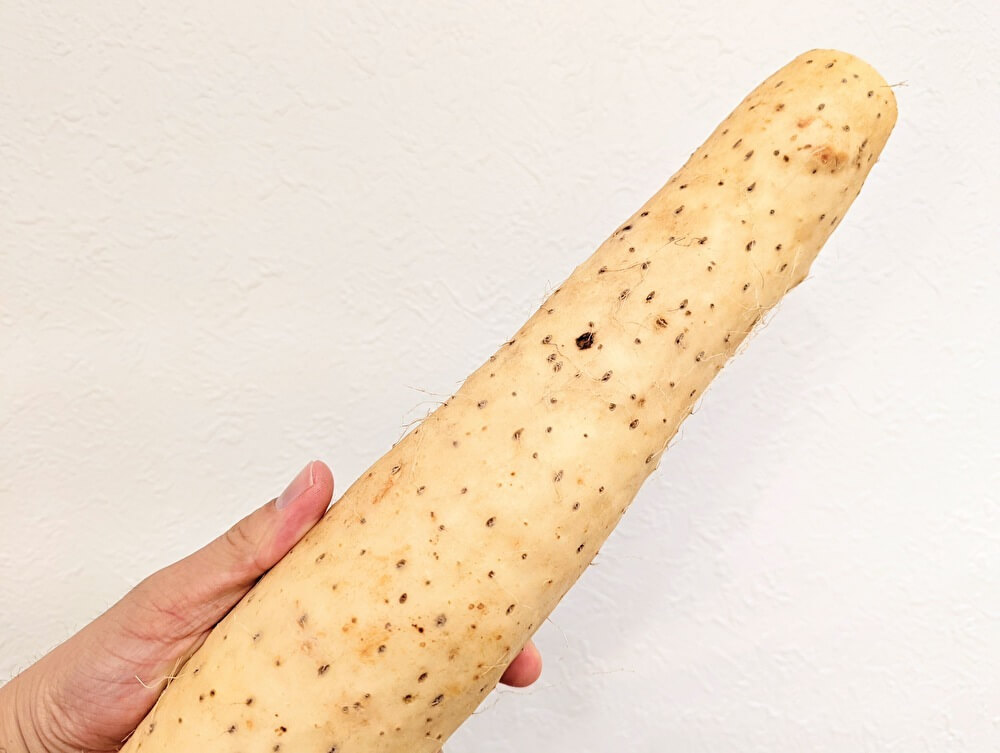 長芋を選ぶときは重いモノがおいしい