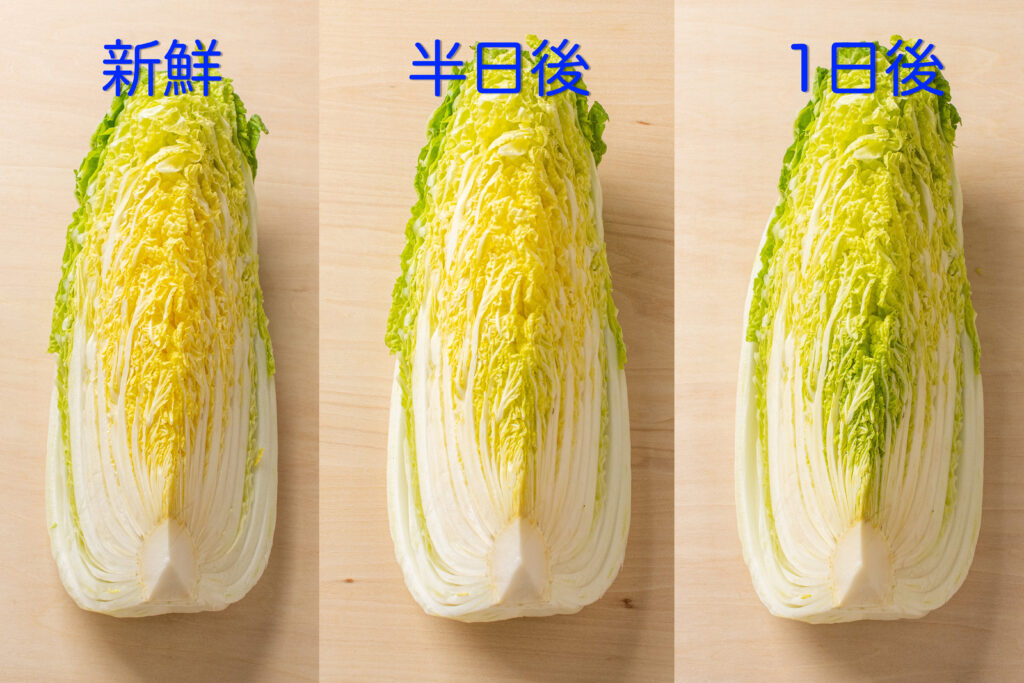 カット白菜は黄色から徐々に緑に変色する