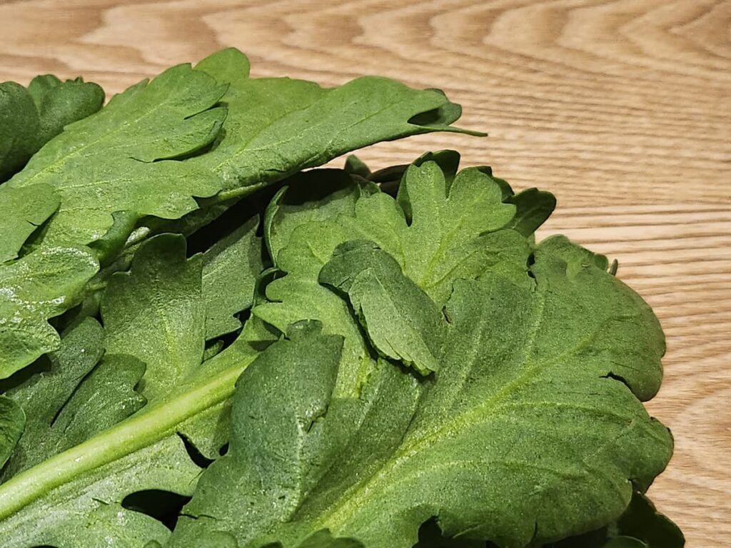 春菊は葉がギザギザのほうが良いの？
