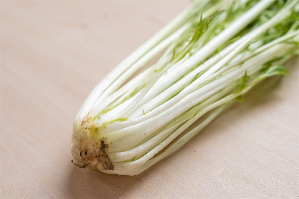 水菜の冷凍保存方法