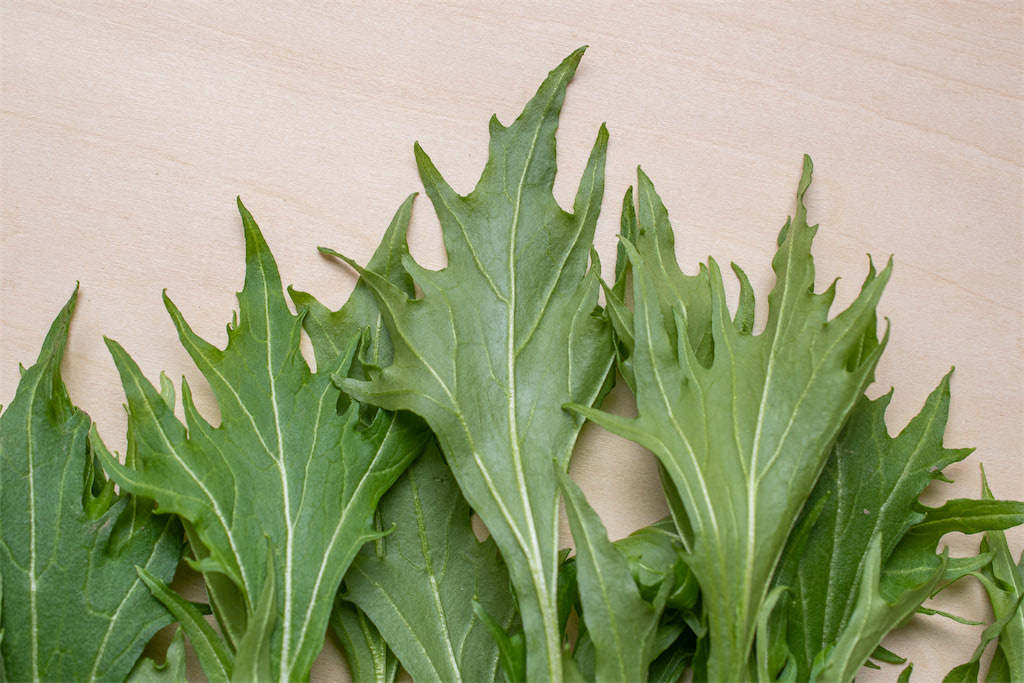 水菜を正しく保存して最後まで食べて