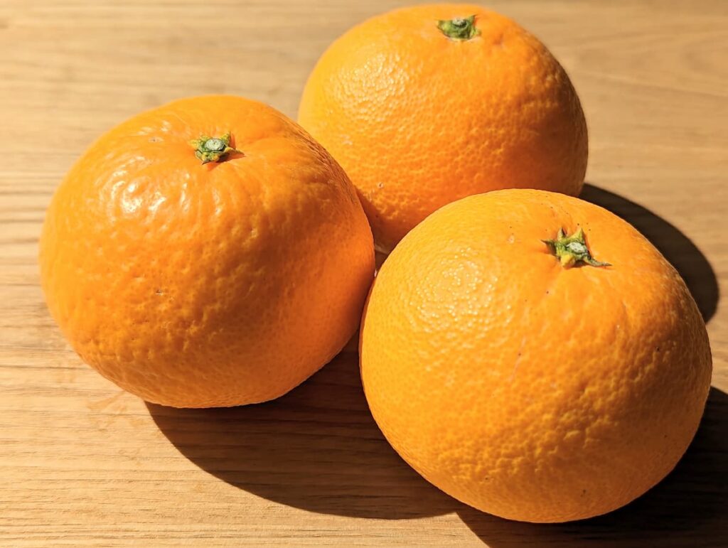 清見オレンジの選び方