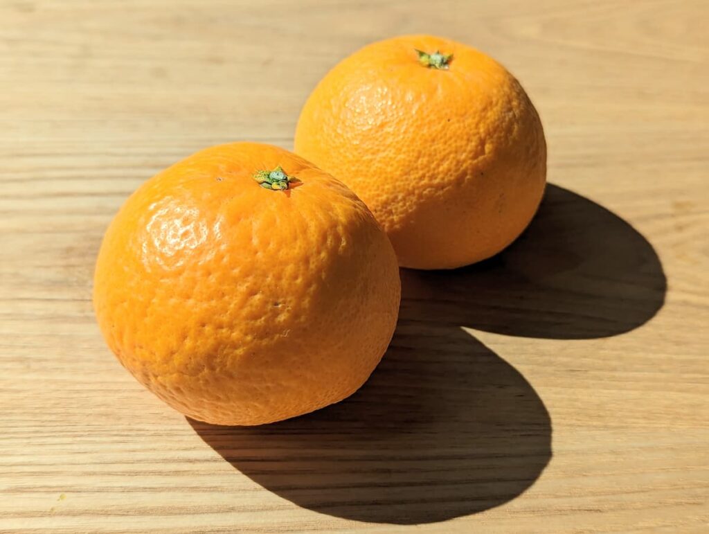 清見オレンジの特徴