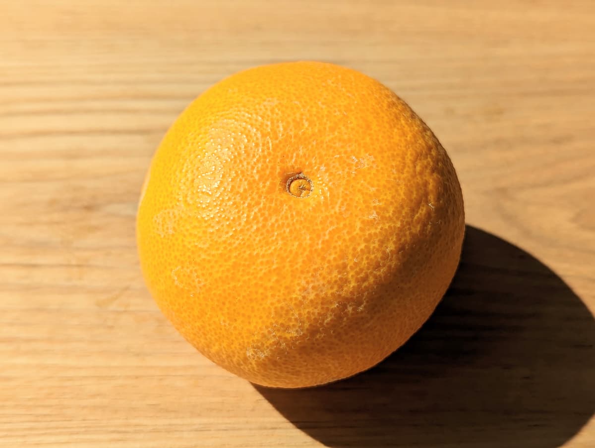 【清見オレンジ】特徴・取り寄せ方法・選び方・保存方法を八百屋が紹介 やさいのトリセツ