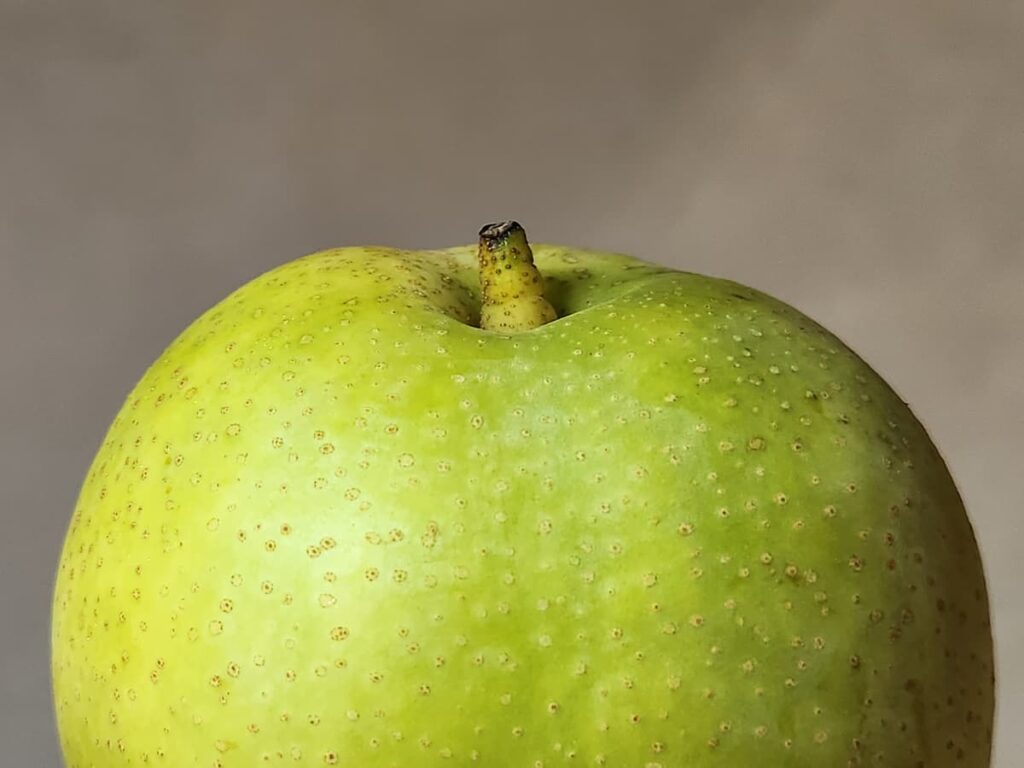二十世紀梨は青リンゴのような美しい見た目