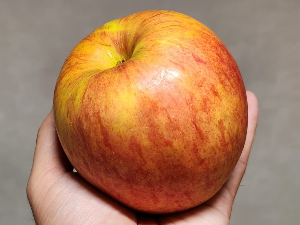 つがるりんごの選び方②重さをチェック