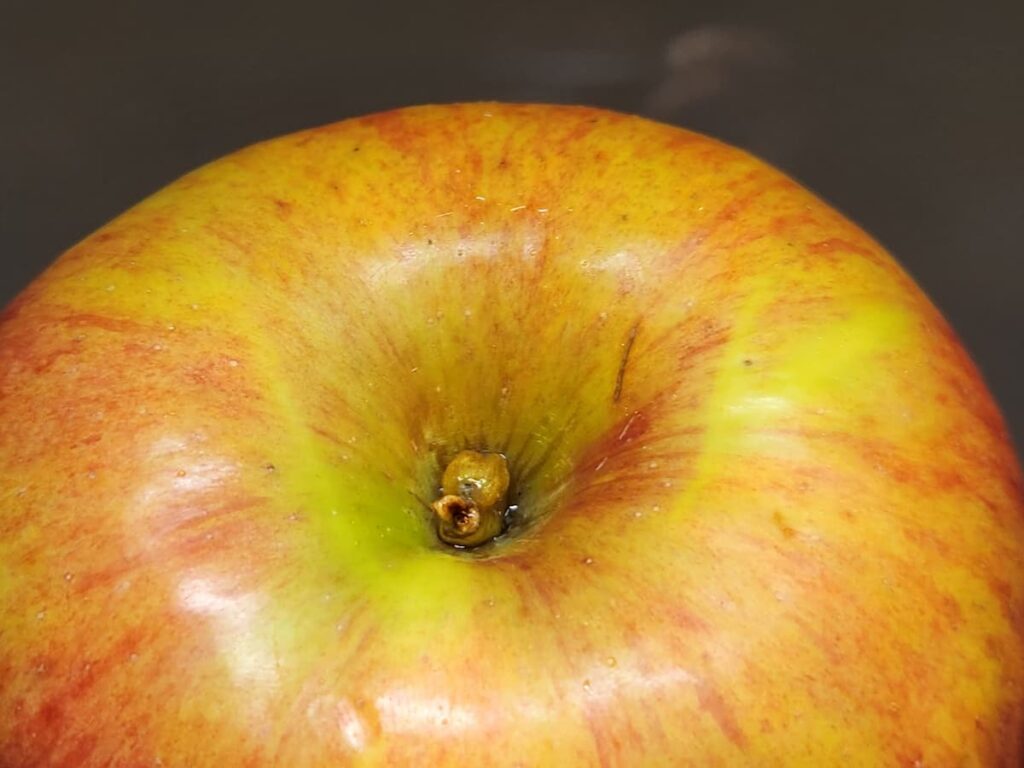 つがるりんごの選び方③軸の太さをチェック