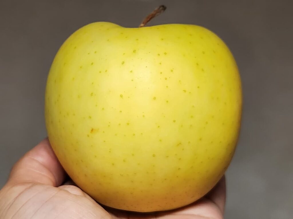 トキりんごの特徴①果皮が黄色い