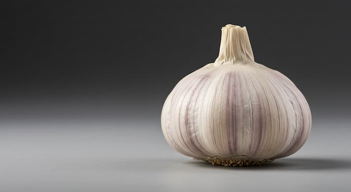 薬味野菜の選び方