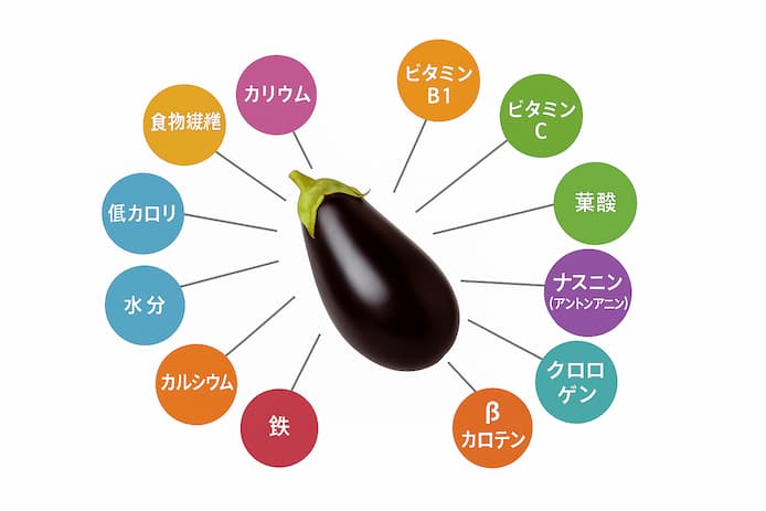 ナスの栄養