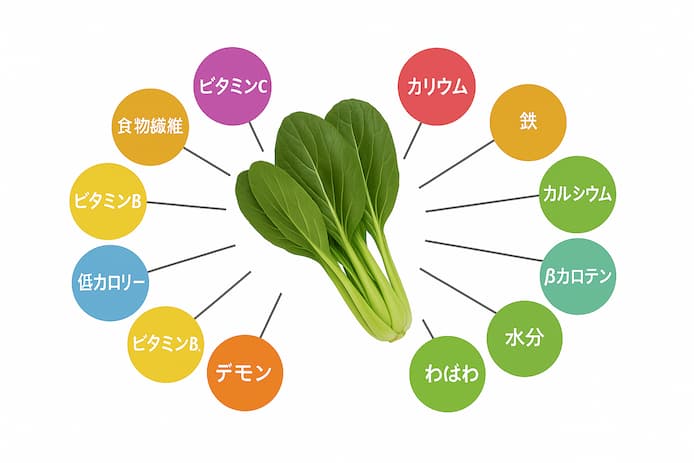小松菜の栄養
