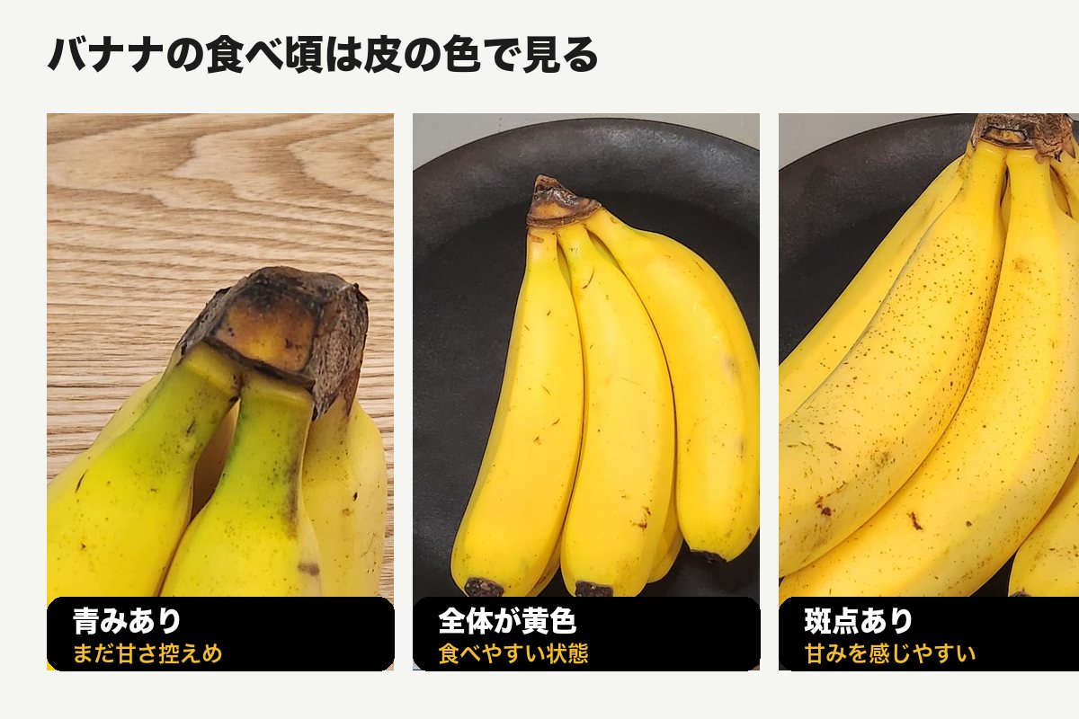 青みあり、黄色、斑点ありのバナナの食べ頃比較画像
