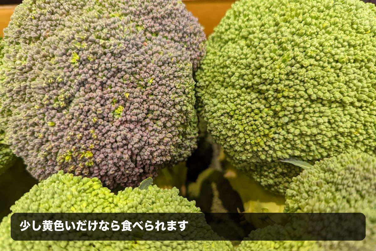 少し黄色くなったブロッコリー