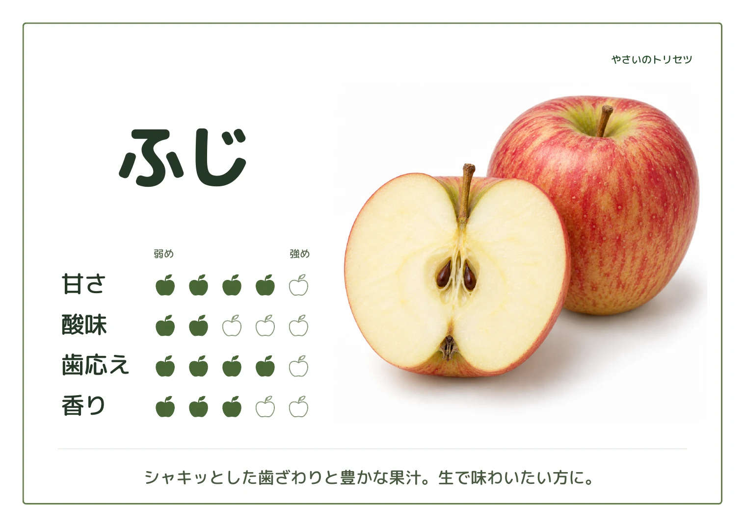 ふじ・通常版のB5横POP。甘さ 4 / 酸味 2 / 歯応え 4 / 香り 3。シャキッとした歯ざわりと豊かな果汁。生で味わいたい方に。