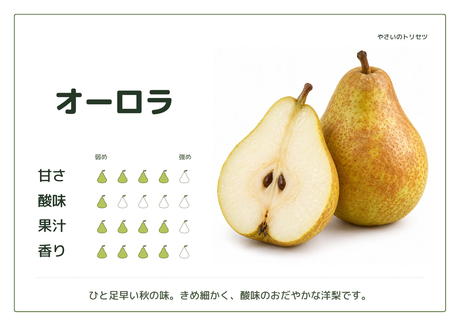 オーロラ・通常版。甘さ4、酸味1、果汁4、香り4、５段階の目安。ひと足早い秋の味。きめ細かく、酸味のおだやかな洋梨です。