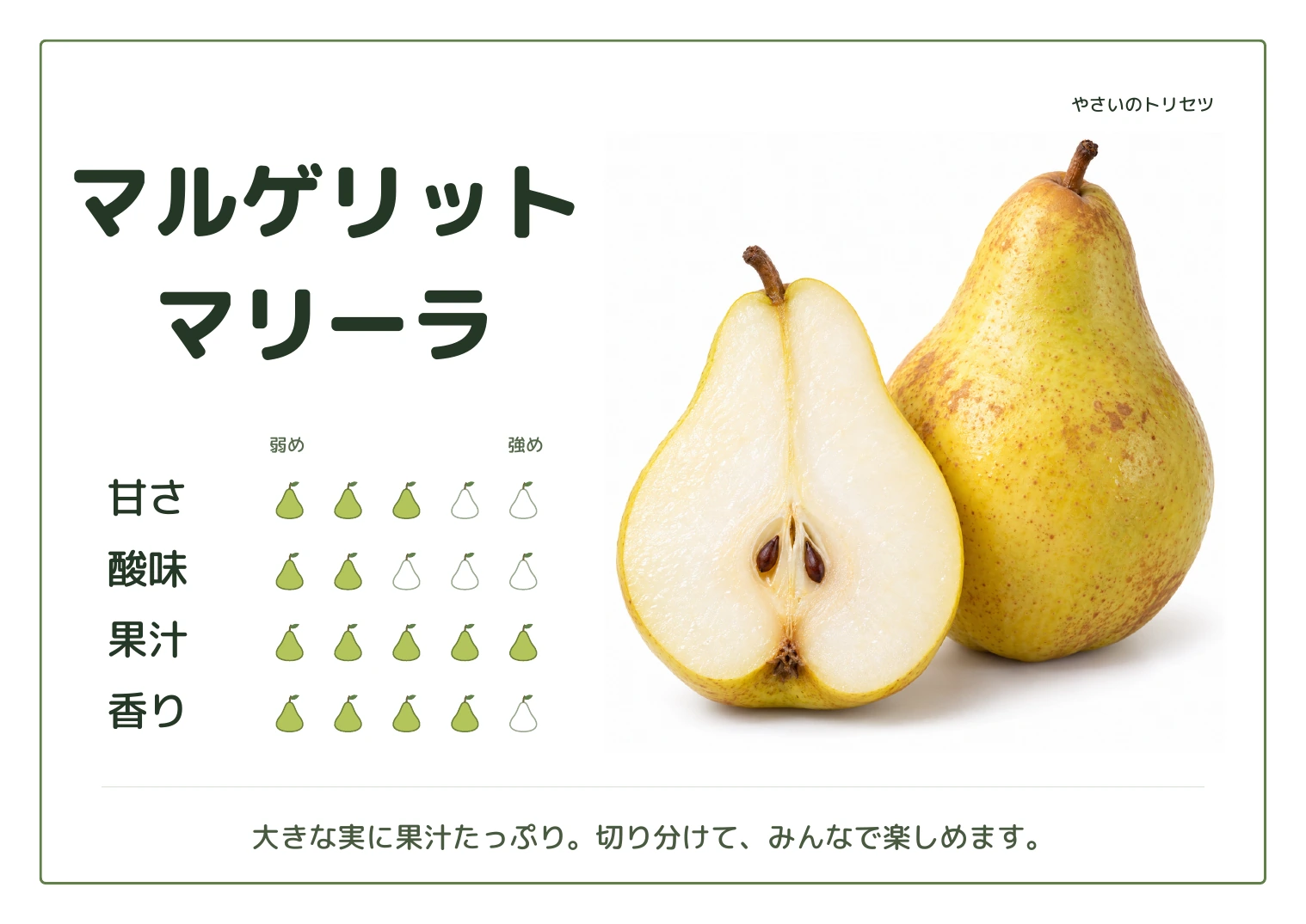 マルゲリット・マリーラ・通常版。甘さ3、酸味2、果汁5、香り4、５段階の目安。大きな実に果汁たっぷり。切り分けて、みんなで楽しめます。