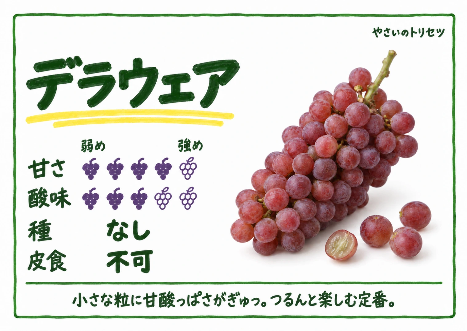 デラウェア・手書き風・種なし用。甘さ4・酸味3(5段階)、種なし、皮食不可。小さな粒に甘酸っぱさがぎゅっ。つるんと楽しむ定番。