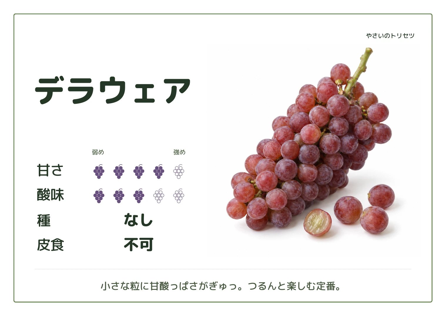 デラウェア・通常版・種なし用。甘さ4・酸味3(5段階)、種なし、皮食不可。小さな粒に甘酸っぱさがぎゅっ。つるんと楽しむ定番。
