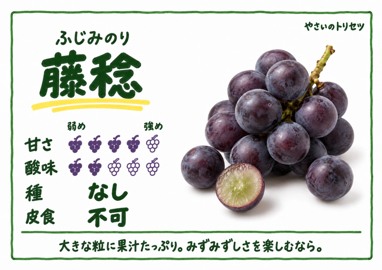 藤稔・手書き風・種なし用。甘さ4・酸味2(5段階)、種なし、皮食不可。大きな粒に果汁たっぷり。みずみずしさを楽しむなら。