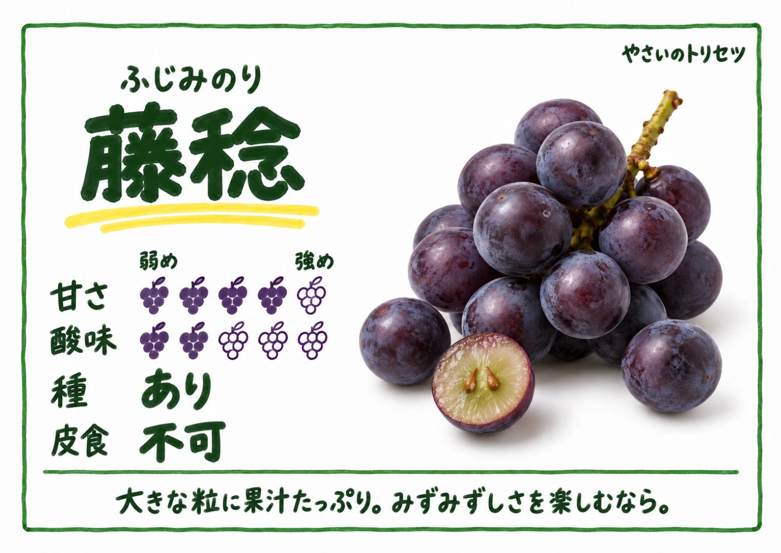 藤稔・手書き風・種あり用。甘さ4・酸味2(5段階)、種あり、皮食不可。大きな粒に果汁たっぷり。みずみずしさを楽しむなら。