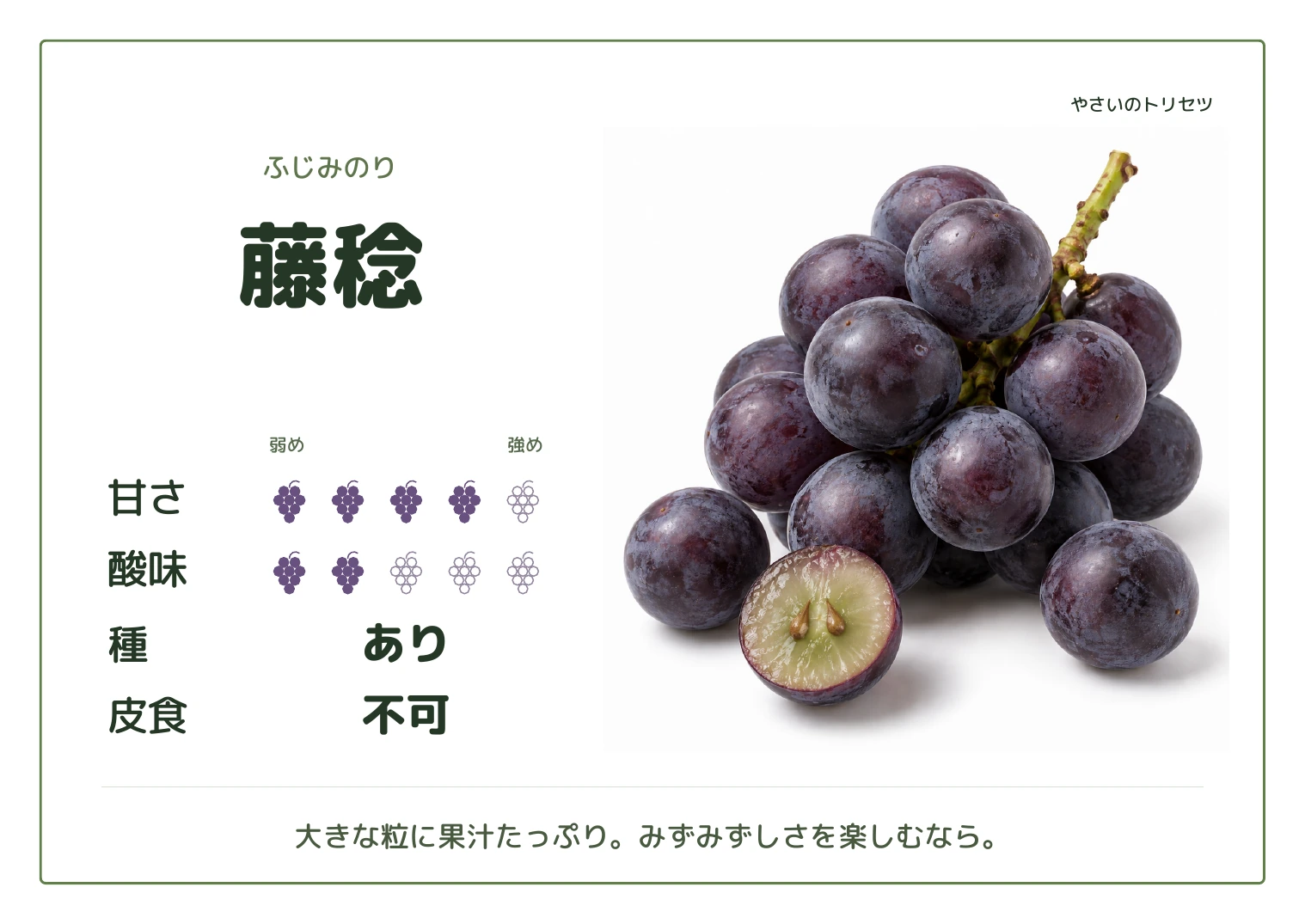 藤稔・通常版・種あり用。甘さ4・酸味2(5段階)、種あり、皮食不可。大きな粒に果汁たっぷり。みずみずしさを楽しむなら。