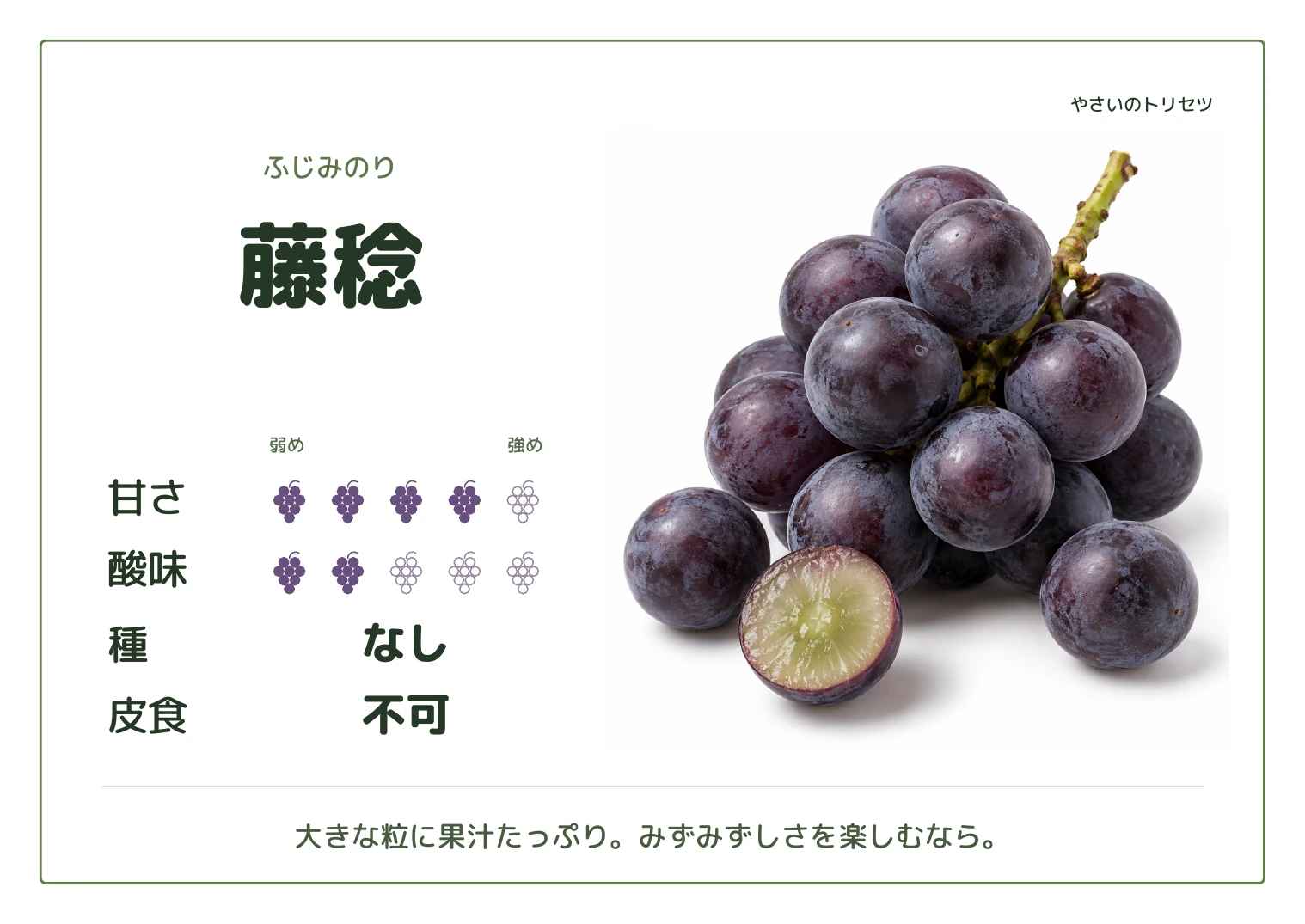 藤稔・通常版・種なし用。甘さ4・酸味2(5段階)、種なし、皮食不可。大きな粒に果汁たっぷり。みずみずしさを楽しむなら。