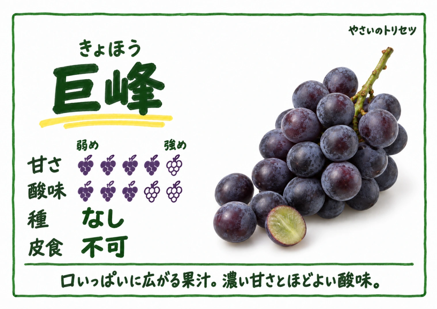 巨峰・手書き風・種なし用。甘さ4・酸味3(5段階)、種なし、皮食不可。口いっぱいに広がる果汁。濃い甘さとほどよい酸味。