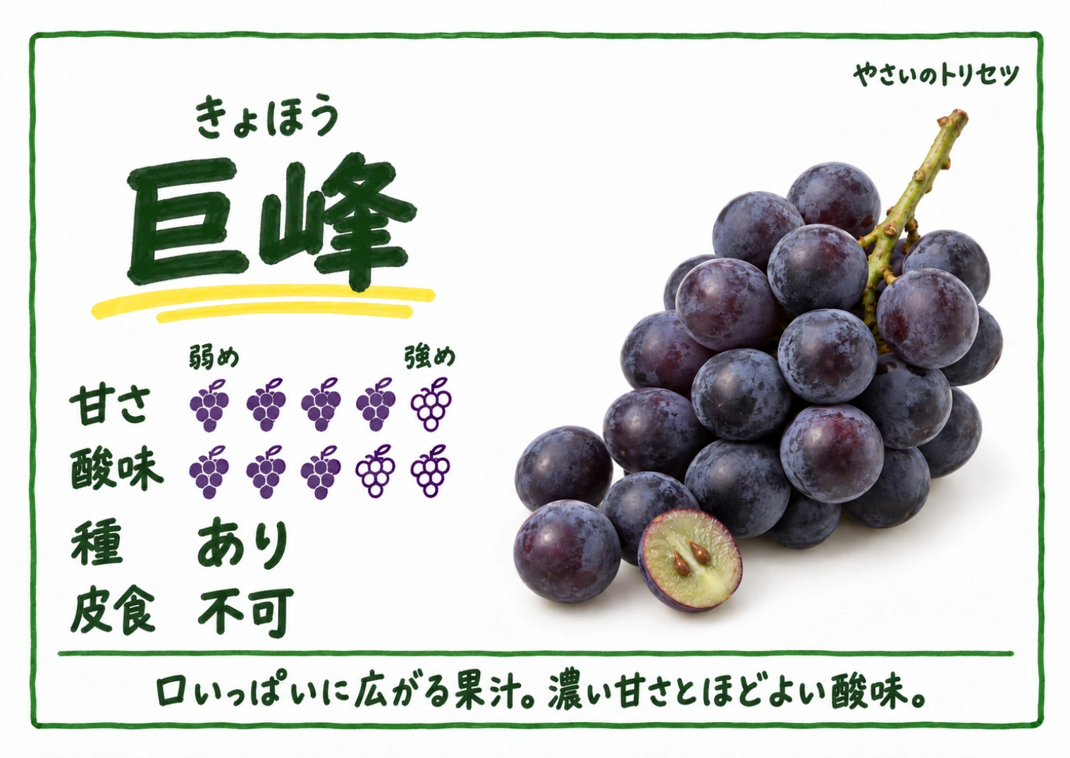 巨峰・手書き風・種あり用。甘さ4・酸味3(5段階)、種あり、皮食不可。口いっぱいに広がる果汁。濃い甘さとほどよい酸味。