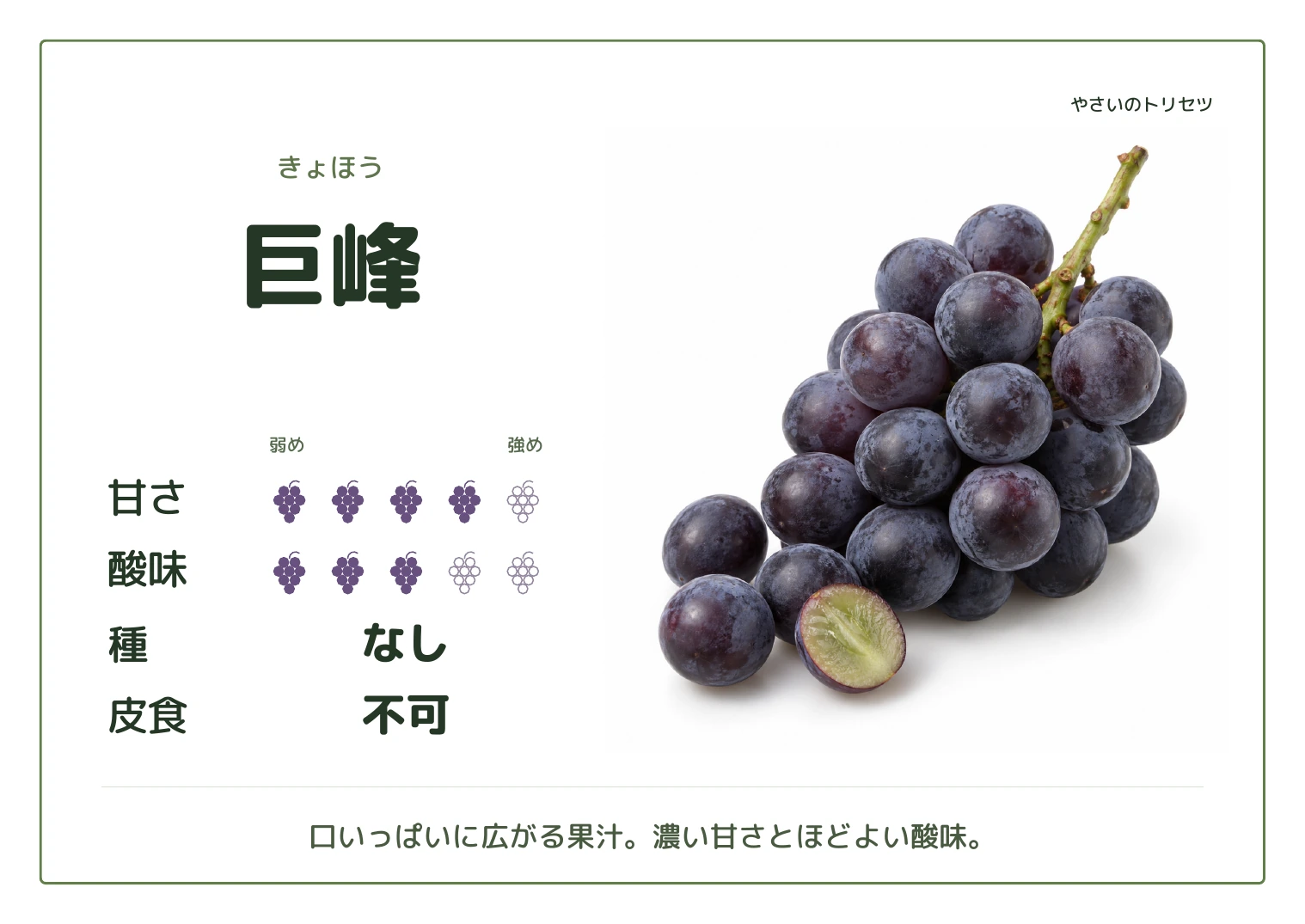 巨峰・通常版・種なし用。甘さ4・酸味3(5段階)、種なし、皮食不可。口いっぱいに広がる果汁。濃い甘さとほどよい酸味。