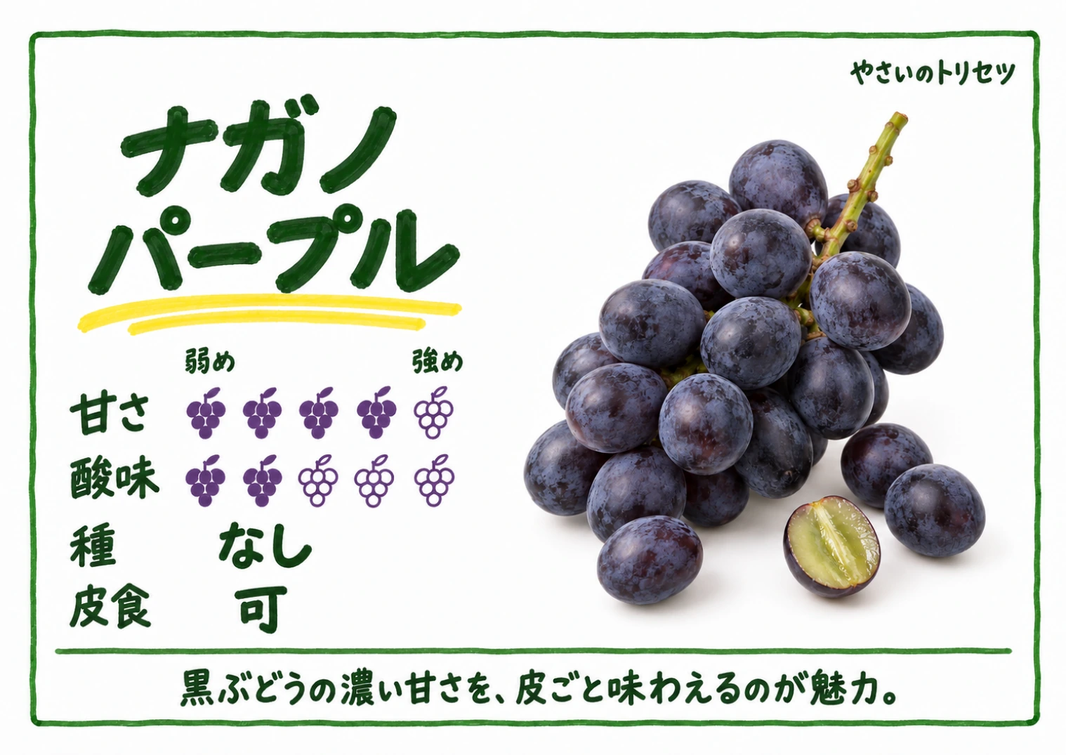 ナガノパープル・手書き風・種なし用。甘さ4・酸味2(5段階)、種なし、皮食可。黒ぶどうの濃い甘さを、皮ごと味わえるのが魅力。
