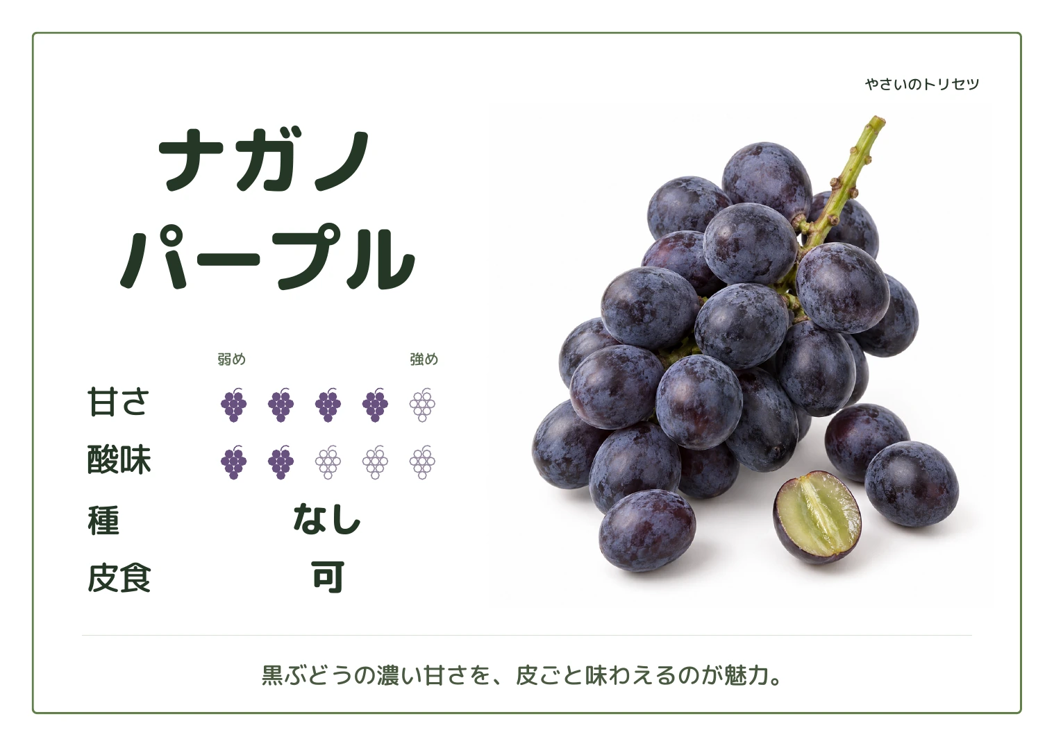 ナガノパープル・通常版・種なし用。甘さ4・酸味2(5段階)、種なし、皮食可。黒ぶどうの濃い甘さを、皮ごと味わえるのが魅力。