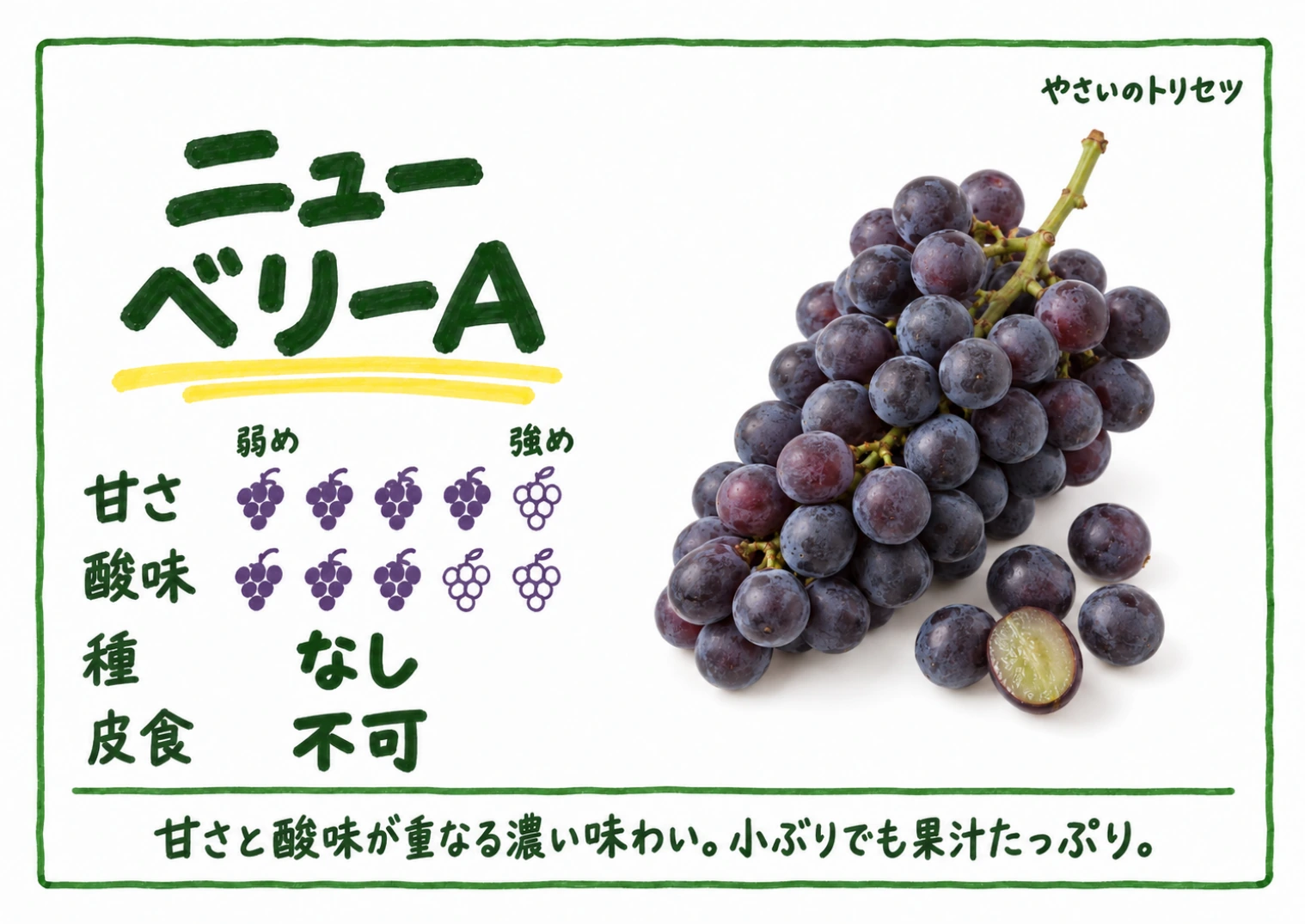 ニューベリーA・手書き風・種なし用。甘さ4・酸味3(5段階)、種なし、皮食不可。甘さと酸味が重なる濃い味わい。小ぶりでも果汁たっぷり。