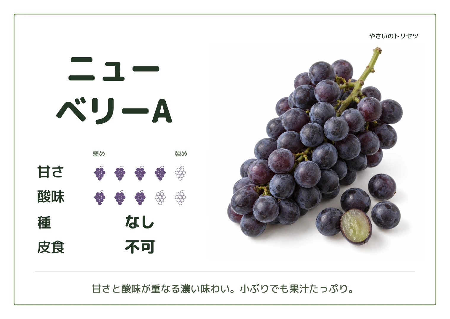 ニューベリーA・通常版・種なし用。甘さ4・酸味3(5段階)、種なし、皮食不可。甘さと酸味が重なる濃い味わい。小ぶりでも果汁たっぷり。