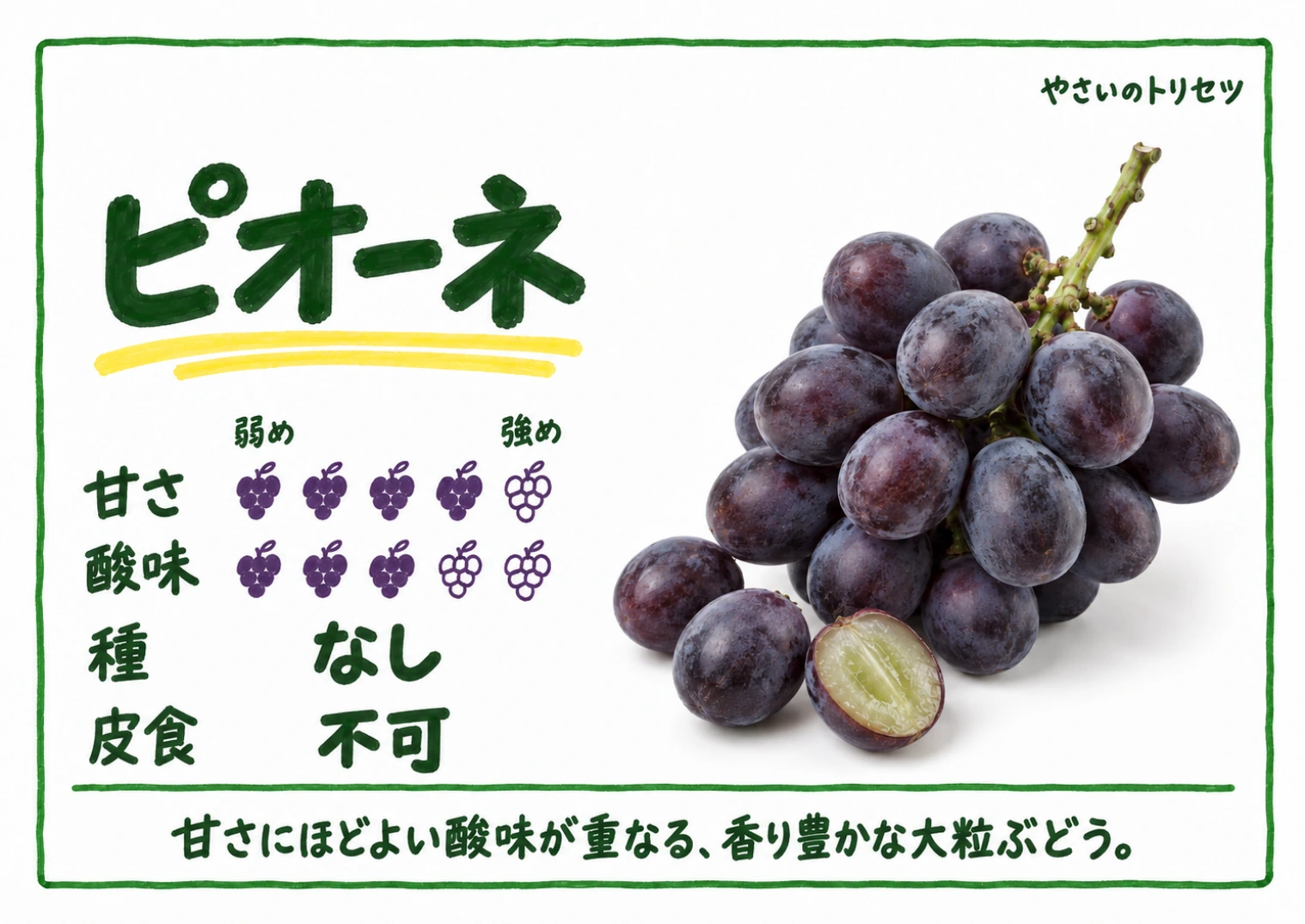 ピオーネ・手書き風・種なし用。甘さ4・酸味3(5段階)、種なし、皮食不可。甘さにほどよい酸味が重なる、香り豊かな大粒ぶどう。
