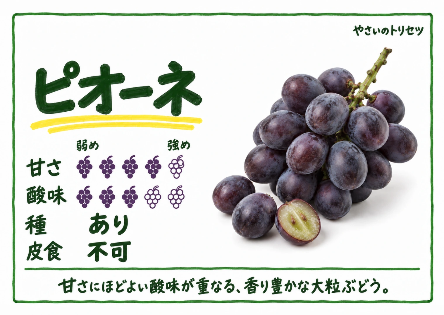 ピオーネ・手書き風・種あり用。甘さ4・酸味3(5段階)、種あり、皮食不可。甘さにほどよい酸味が重なる、香り豊かな大粒ぶどう。