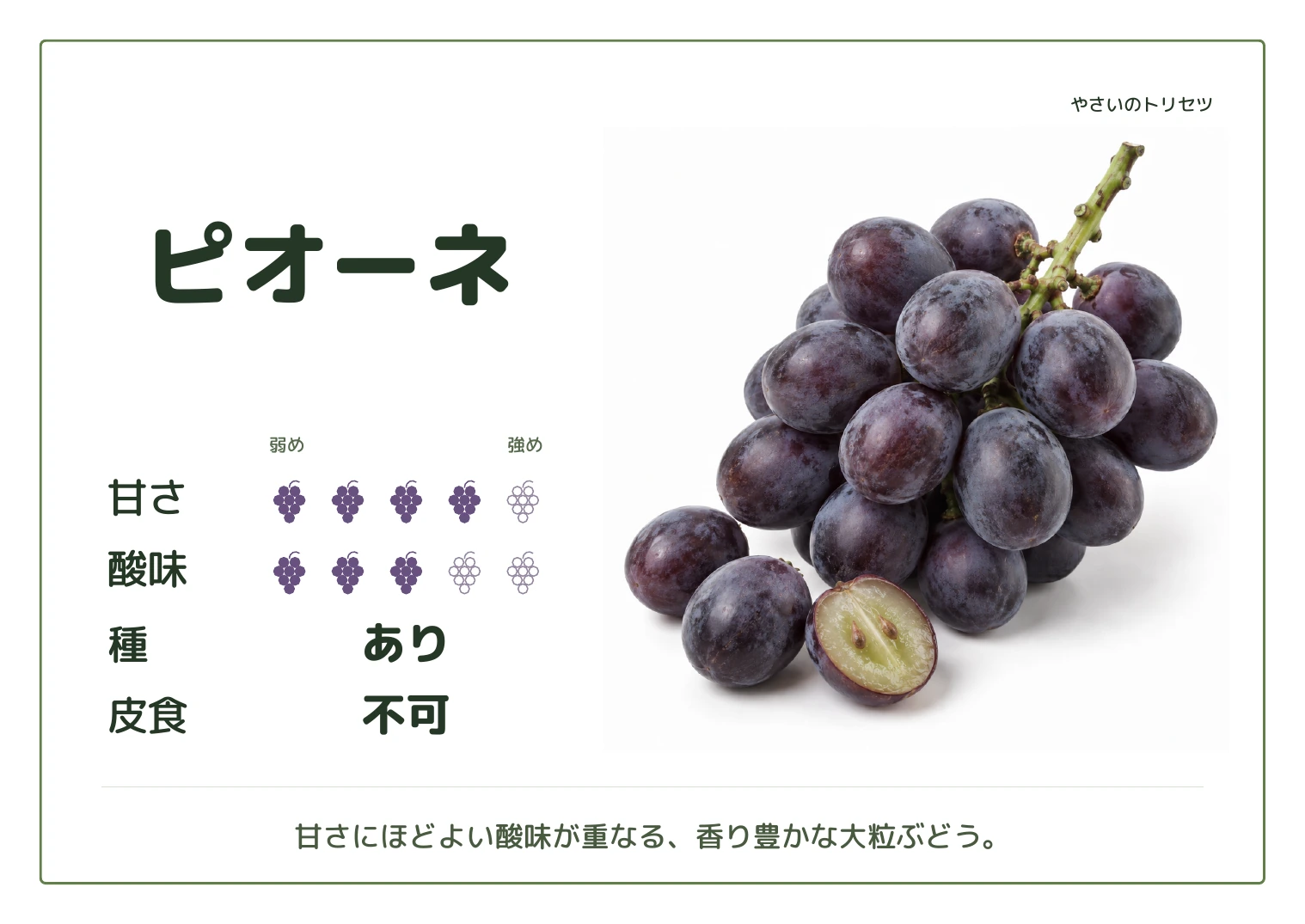 ピオーネ・通常版・種あり用。甘さ4・酸味3(5段階)、種あり、皮食不可。甘さにほどよい酸味が重なる、香り豊かな大粒ぶどう。