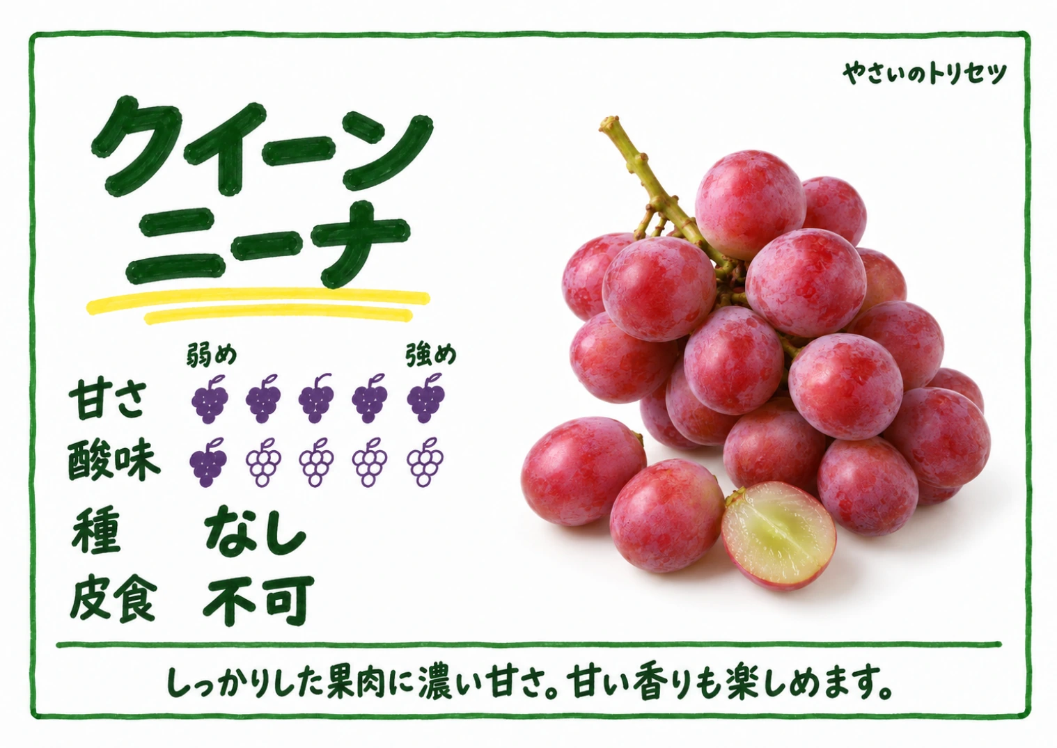 クイーンニーナ・手書き風・種なし用。甘さ5・酸味1(5段階)、種なし、皮食不可。しっかりした果肉に濃い甘さ。甘い香りも楽しめます。