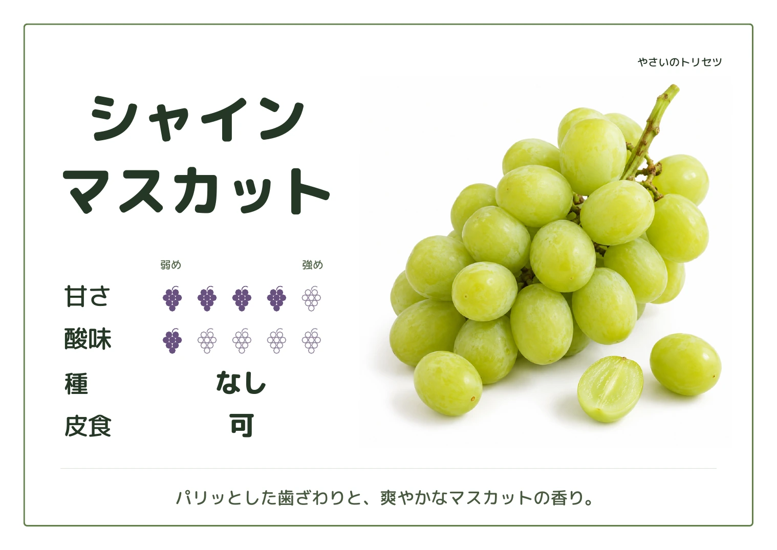 シャインマスカット・通常版・種なし用。甘さ4・酸味1(5段階)、種なし、皮食可。パリッとした歯ざわりと、爽やかなマスカットの香り。
