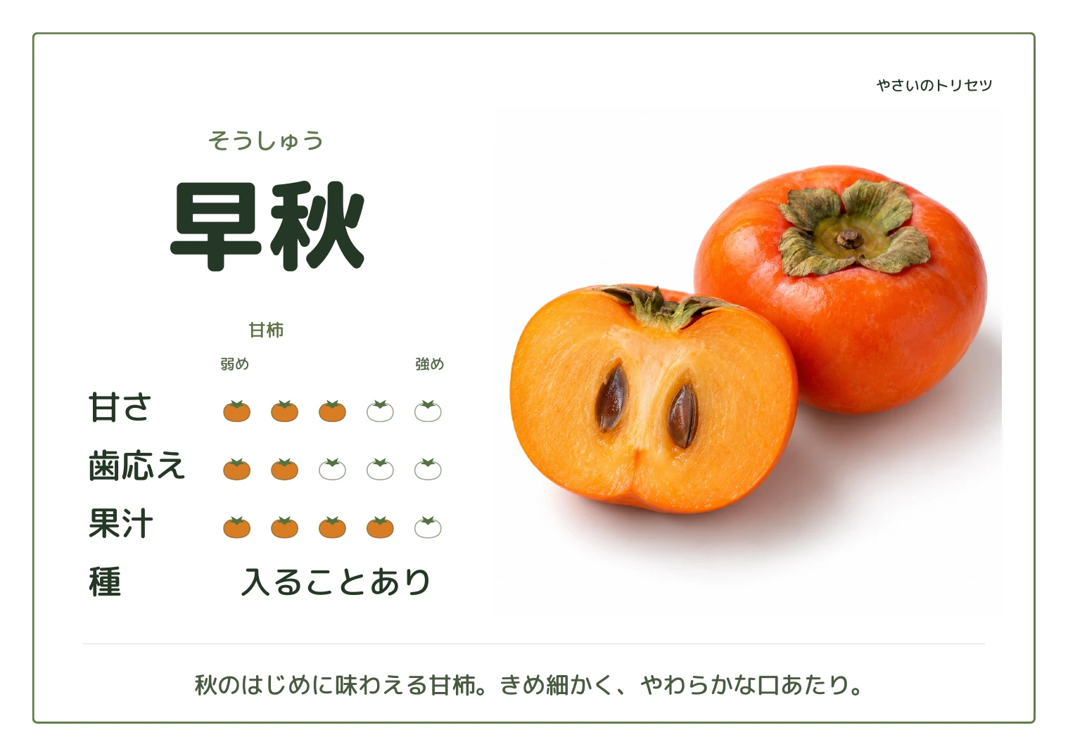 早秋・通常版。甘柿。甘さ3、歯応え2、果汁4、５段階の目安。種：入ることあり。秋のはじめに味わえる甘柿。きめ細かく、やわらかな口あたり。