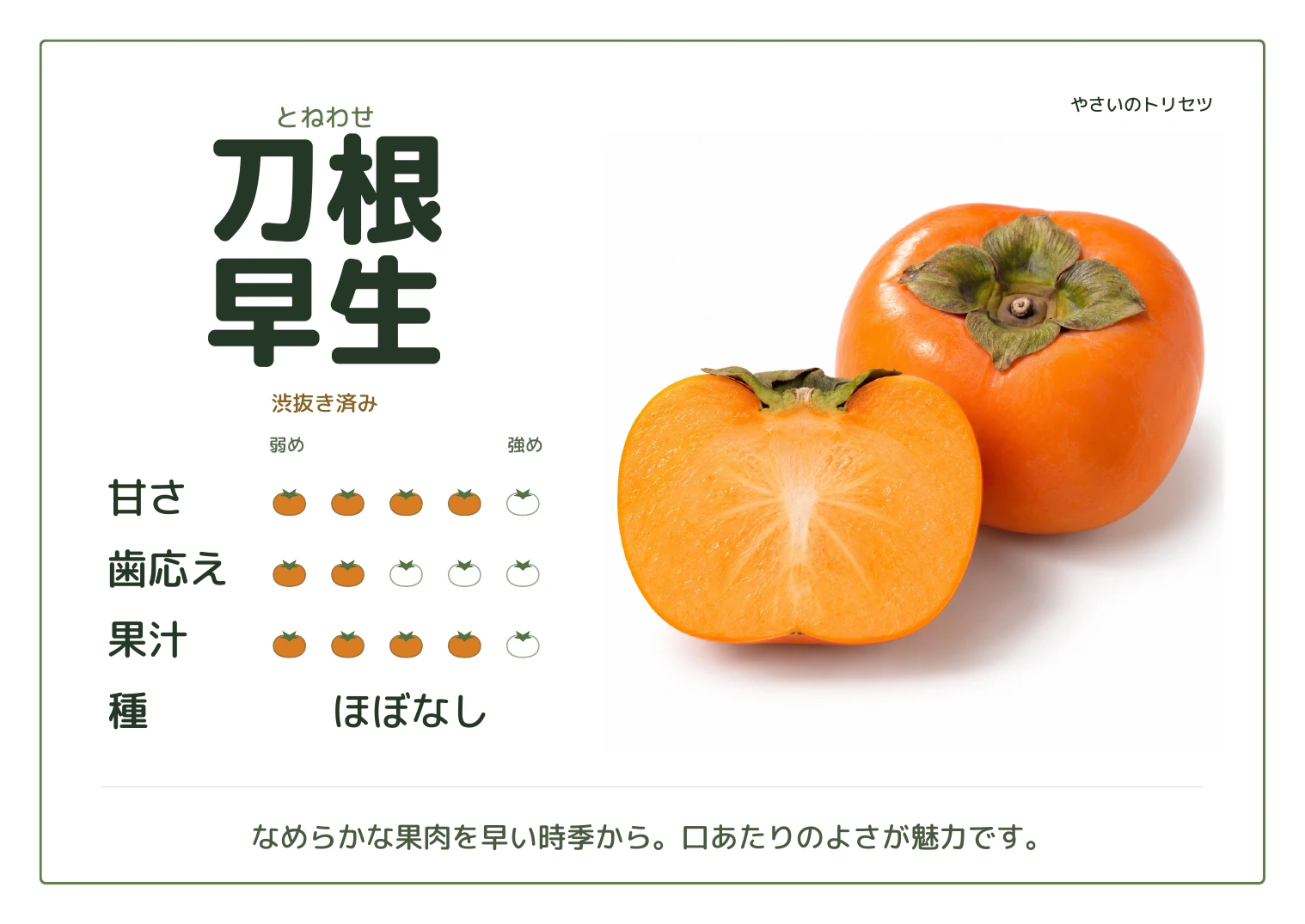 刀根早生・通常版。渋抜き済み。甘さ4、歯応え2、果汁4、５段階の目安。種：ほぼなし。なめらかな果肉を早い時季から。口あたりのよさが魅力です。