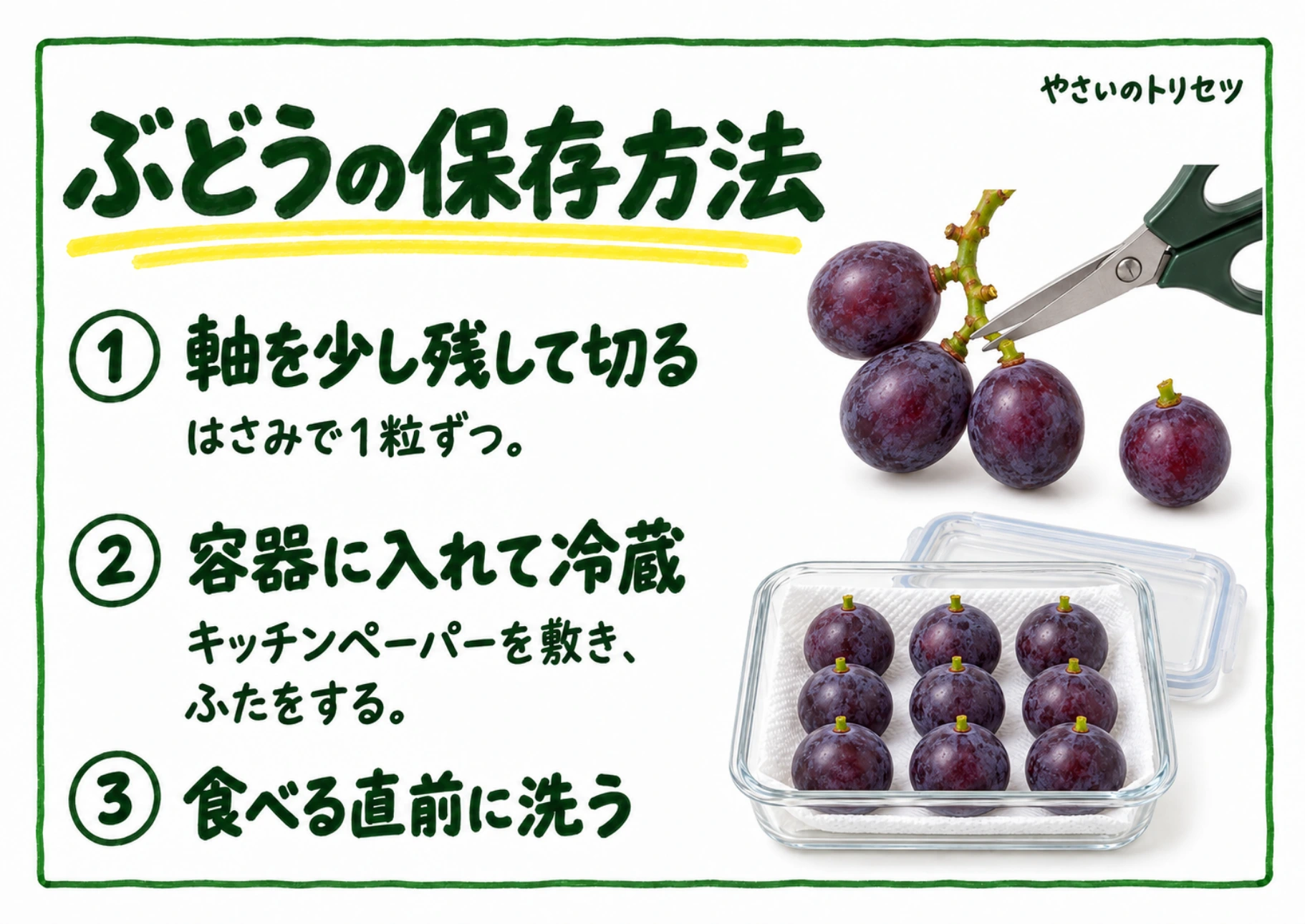 ぶどうの保存方法・手書き風の解説POP。軸を少し残して切り、容器に入れて冷蔵する方法です。