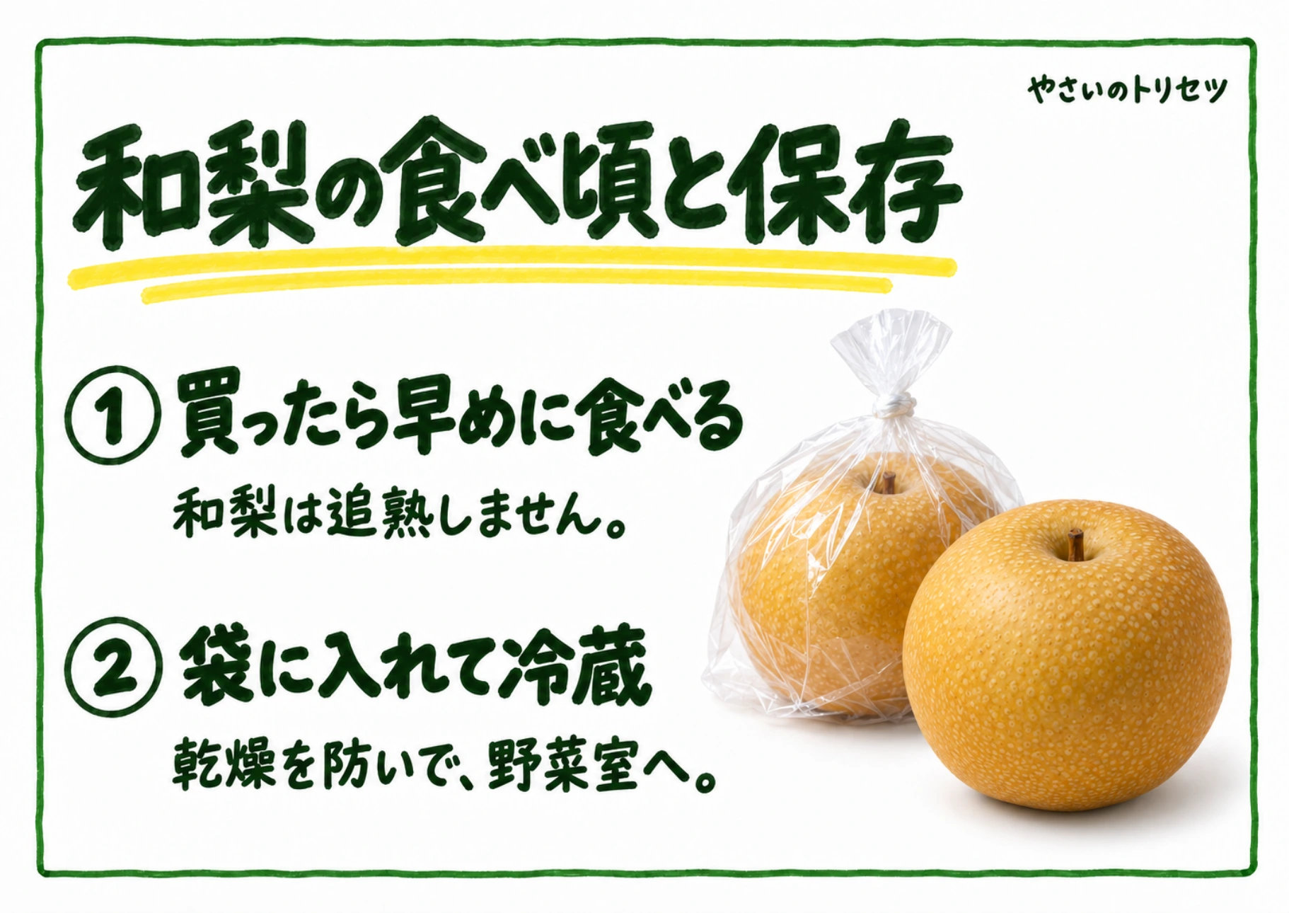 和梨の食べ頃と保存・手書き風の解説POP。追熟を待たずに早めに食べることと、冷蔵保存を案内します。