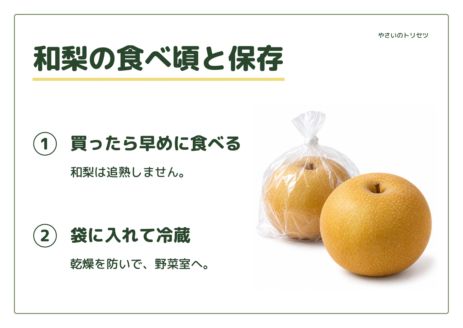 和梨の食べ頃と保存・通常版の解説POP。追熟を待たずに早めに食べることと、冷蔵保存を案内します。